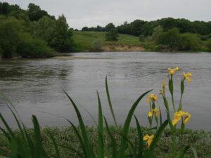 le cher à langon sur cher