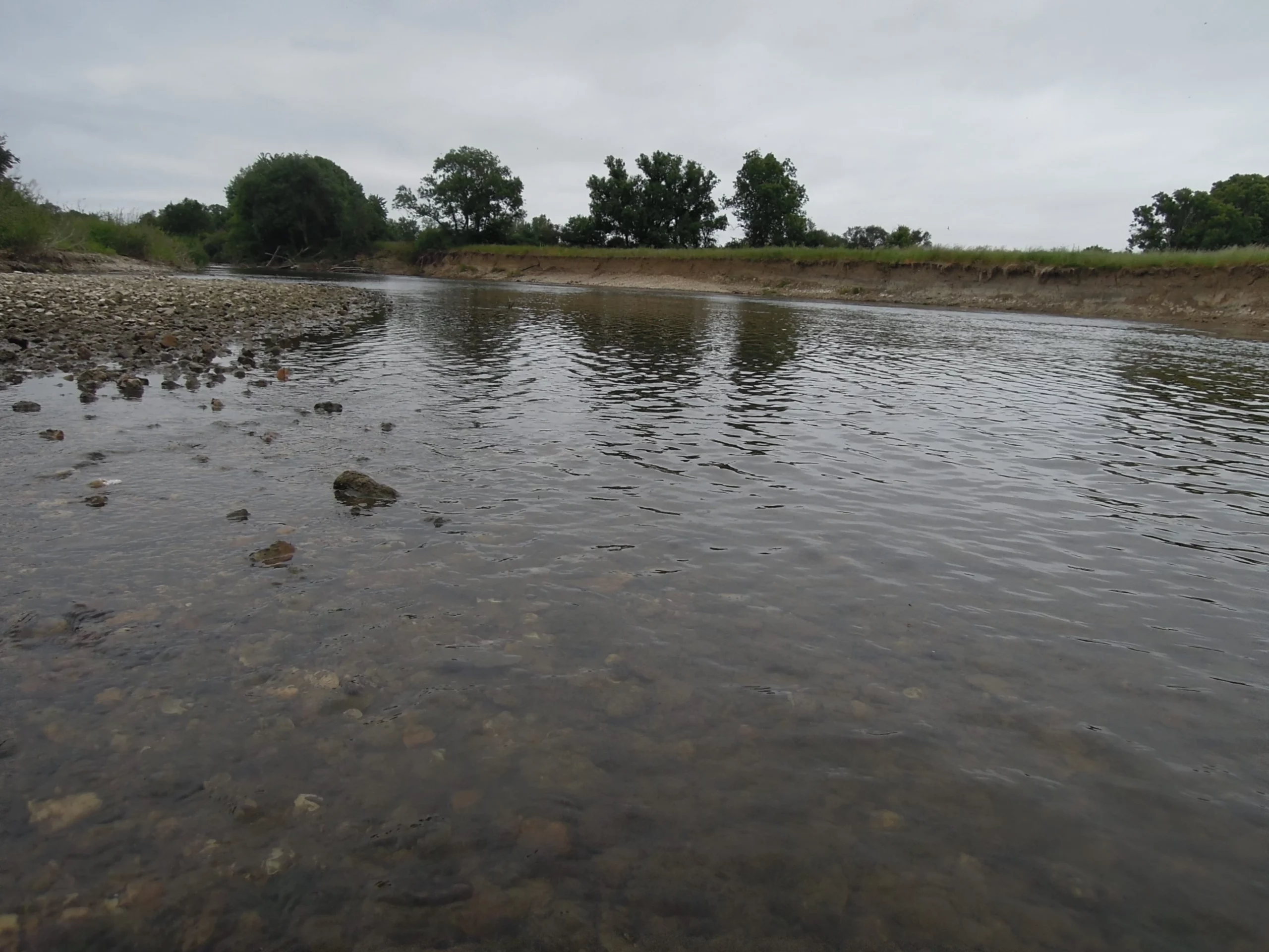 le cher à thénioux