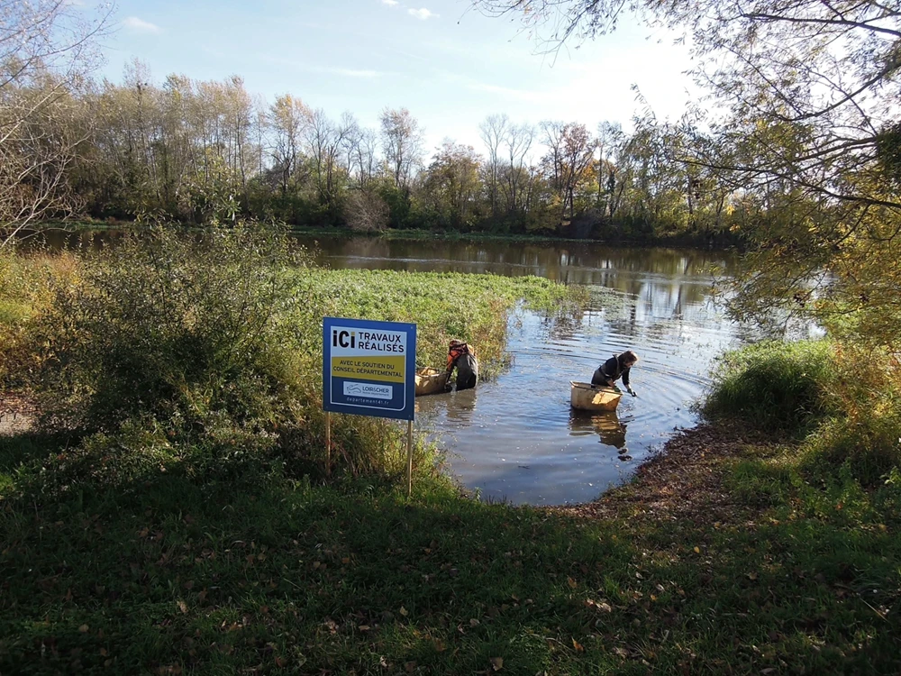 arachage jussie a chatillon