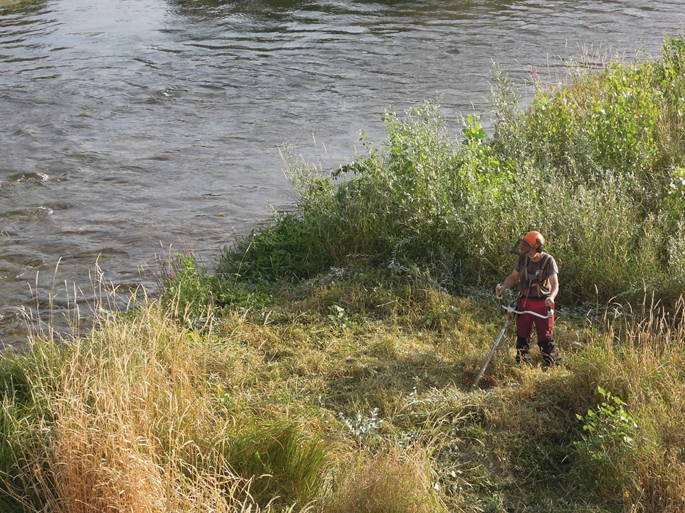 debroussaillage manuel a selles