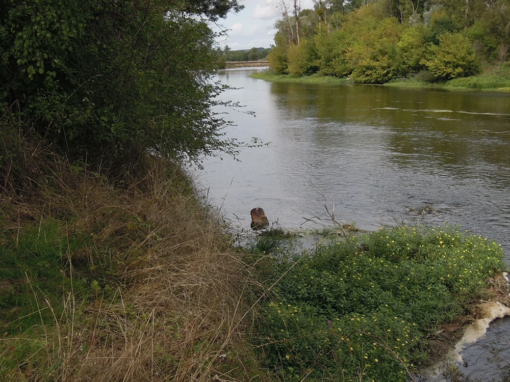 embacle retire a couffy