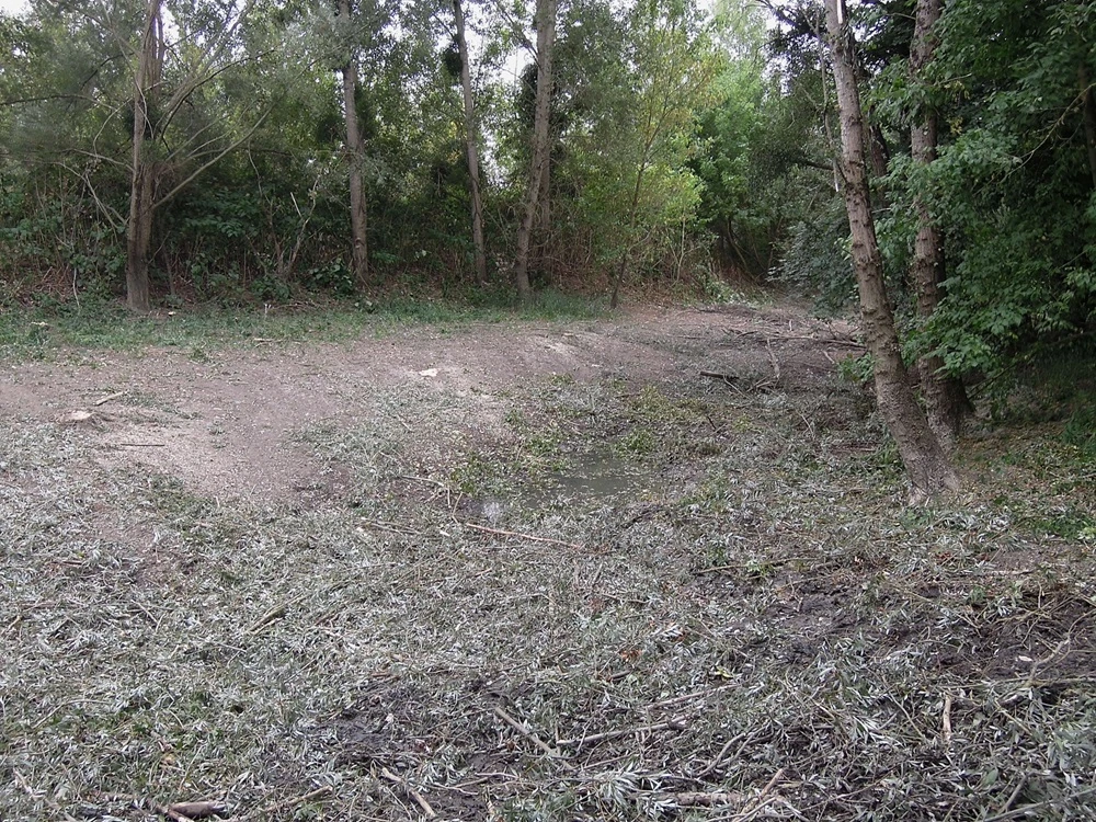 la zone humide apres travaux