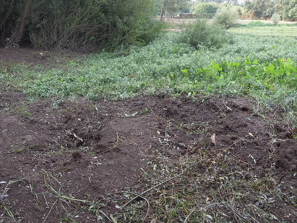 lentree de la frayere apres travaux