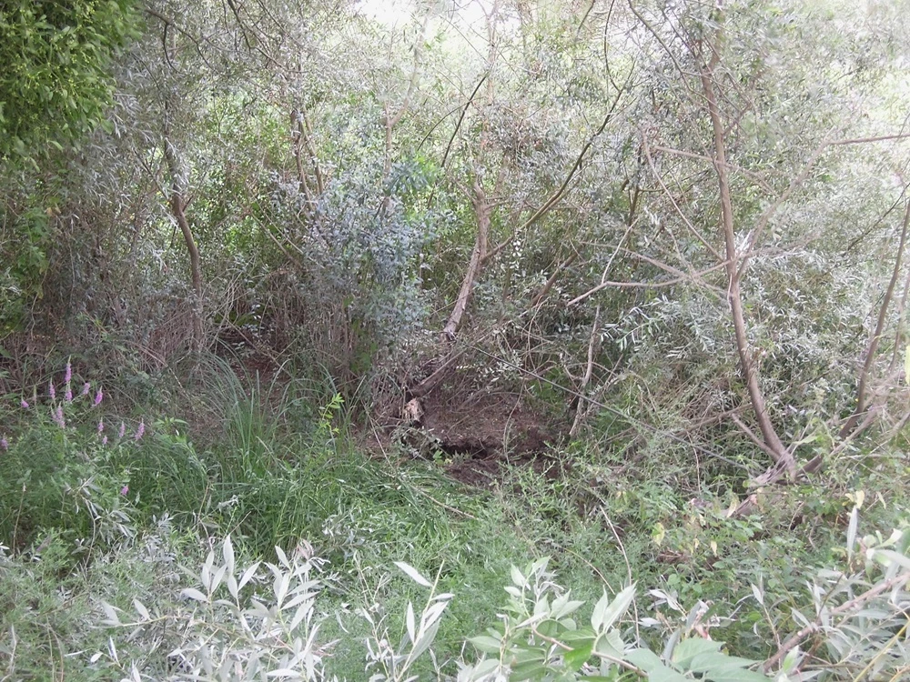 lentree de la frayere avant travaux