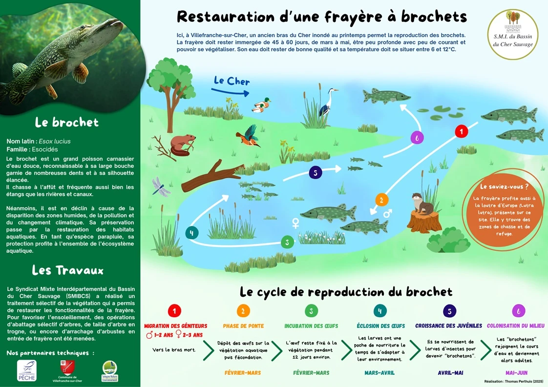 restauration d une frayere a brochets panneau pedagogique