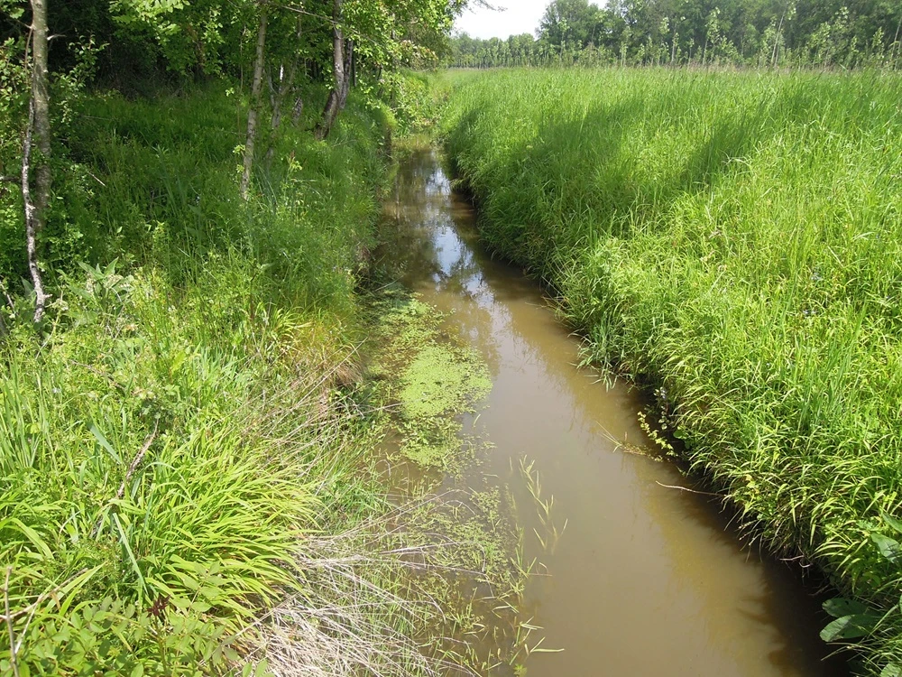 saint georges sur la prée
