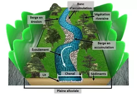 schéma de la dynamique fluviale