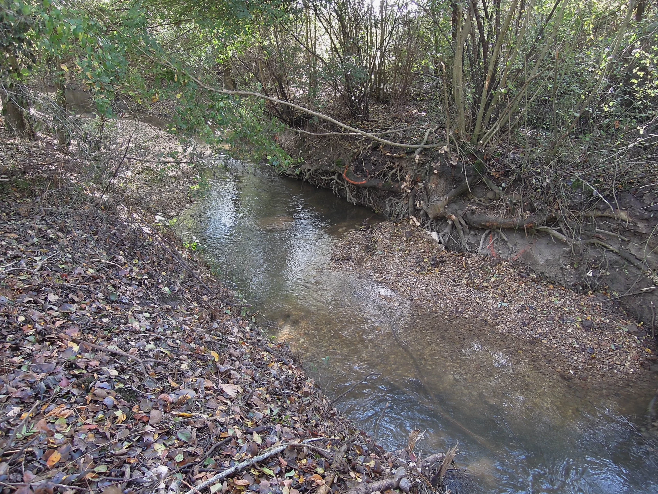 travaux de renaturation légère