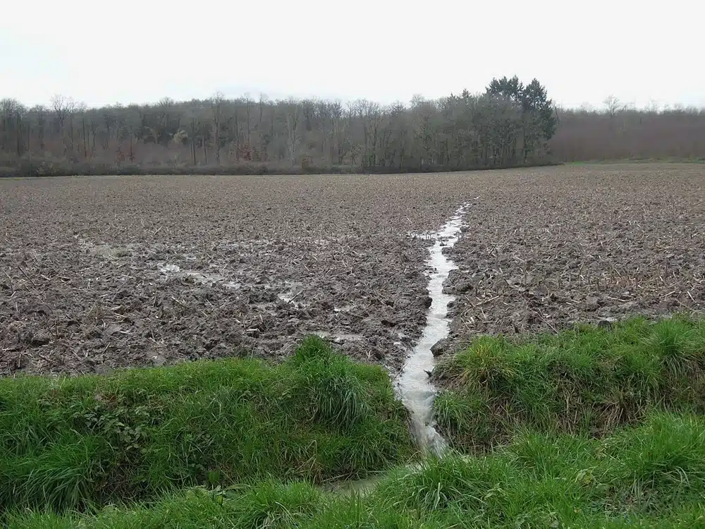 ruissellement sur le bassin versant de la prée