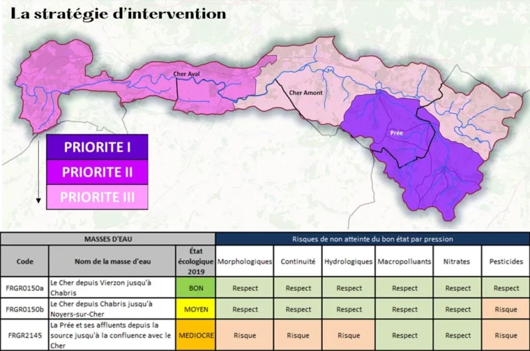 stratégie d'intervention