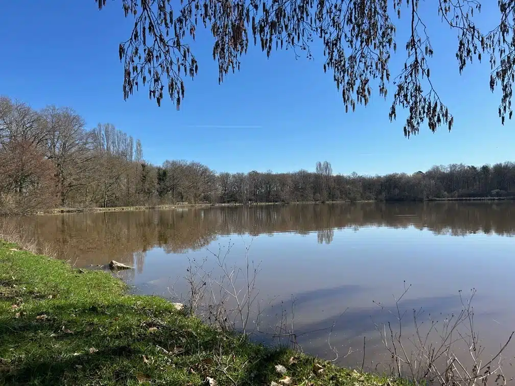 Etang des Sceps à Genouilly